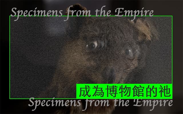 CREATORS | 成為博物館的祂