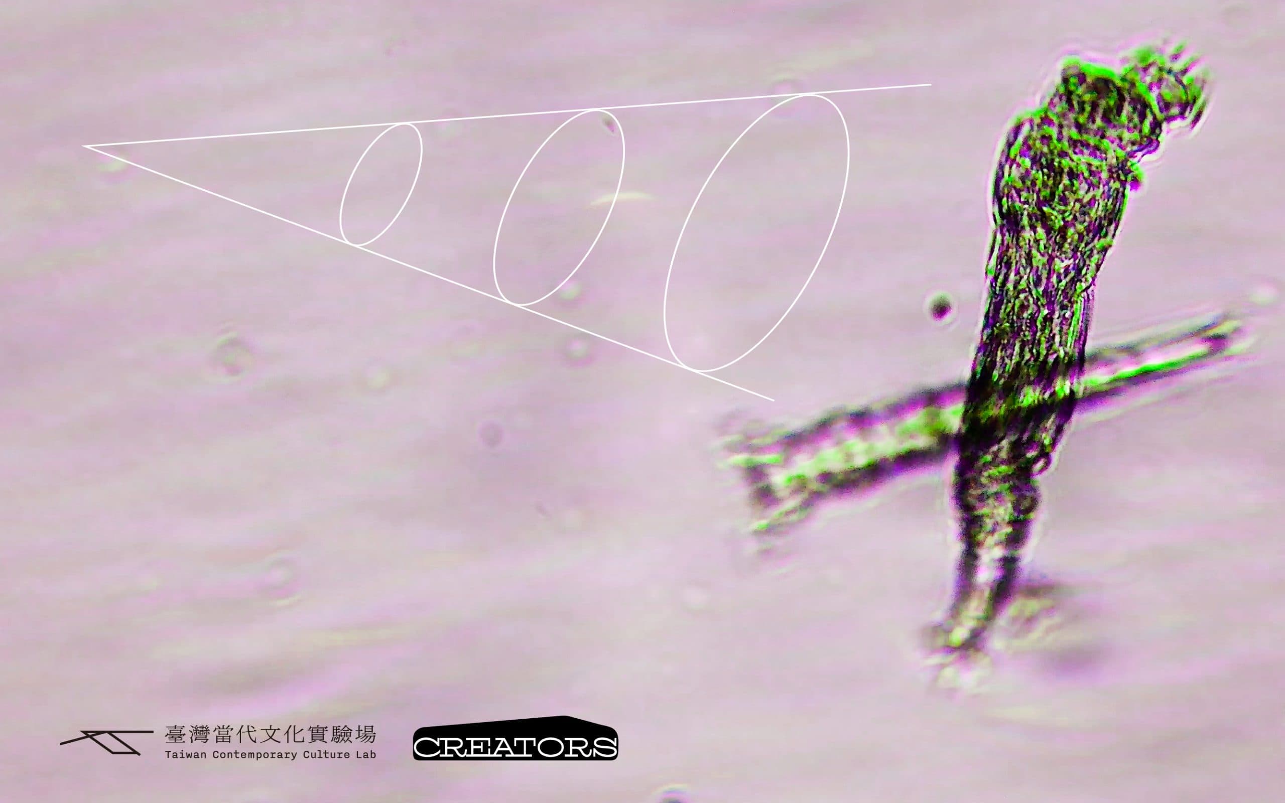 ✦ 沒有光的世界巴洛克 ✦ 微生物影音創作工作坊