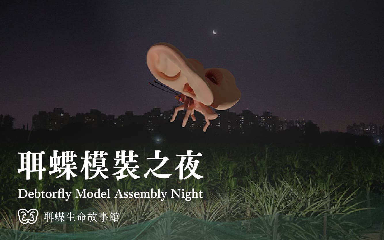 白晝之夜。聑蝶模裝之夜 Debtorfly Model Assembly